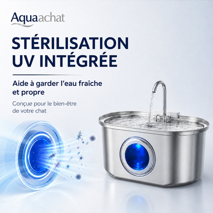 Fontaine à Eau pour Chat en Acier Inoxydable